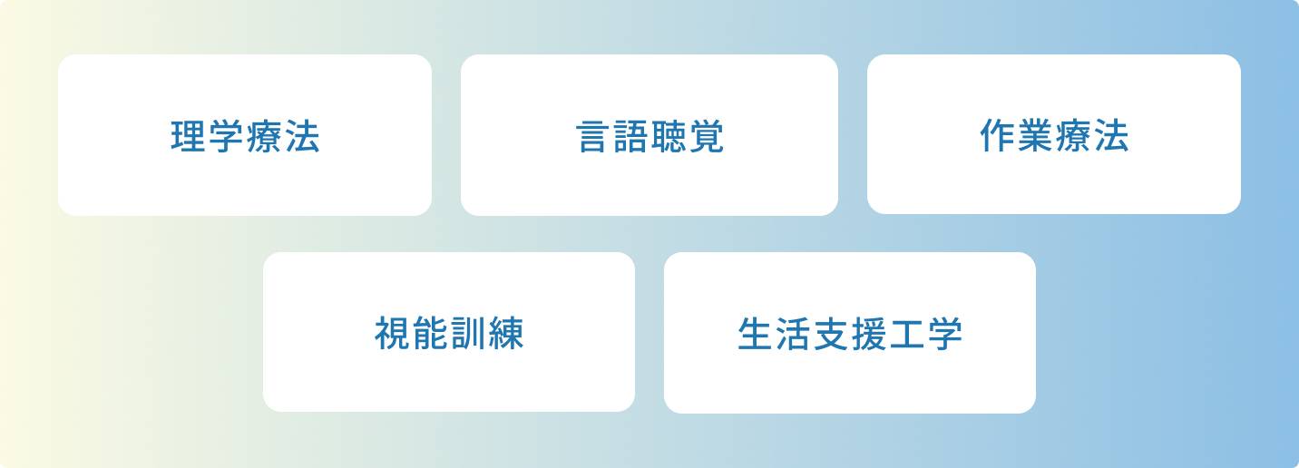 理学療法、言語聴覚、作業療法、視能訓練、生活支援工学